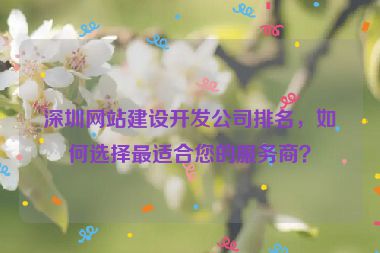 深圳網(wǎng)站建設(shè)開(kāi)發(fā)公司排名，如何選擇最適合您的服務(wù)商？