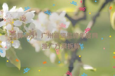 預算50萬！廣州高端品牌年度網(wǎng)站推廣方案拆解