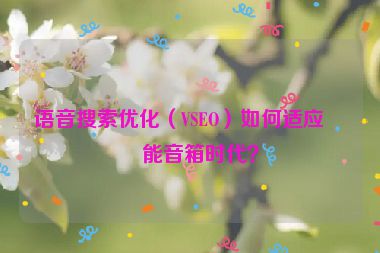 語(yǔ)音搜索優(yōu)化（VSEO）如何適應(yīng)智能音箱時(shí)代？