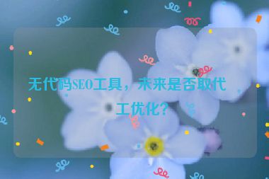 無(wú)代碼SEO工具，未來(lái)是否取代人工優(yōu)化？