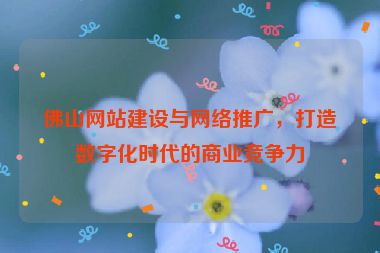 佛山網(wǎng)站建設(shè)與網(wǎng)絡(luò)推廣，打造數(shù)字化時(shí)代的商業(yè)競(jìng)爭(zhēng)力