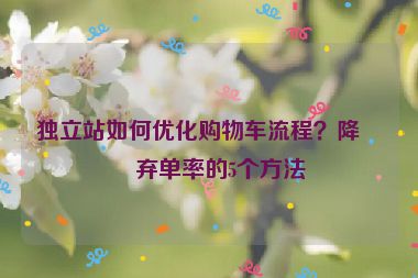獨(dú)立站如何優(yōu)化購物車流程？降低棄單率的5個(gè)方法