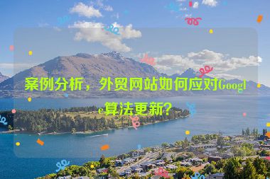 案例分析，外貿(mào)網(wǎng)站如何應(yīng)對(duì)Google算法更新？