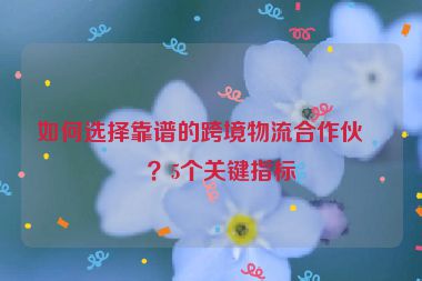 如何選擇靠譜的跨境物流合作伙伴？5個(gè)關(guān)鍵指標(biāo)