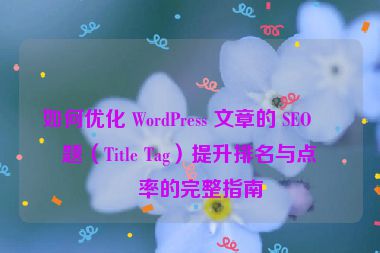 如何優(yōu)化 WordPress 文章的 SEO 標(biāo)題（Title Tag）提升排名與點(diǎn)擊率的完整指南