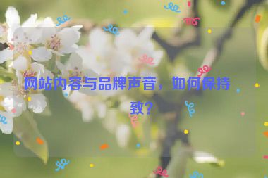 網(wǎng)站內(nèi)容與品牌聲音，如何保持一致？