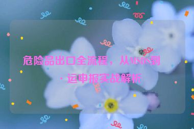 危險品出口全流程，從MSDS到海運(yùn)申報實(shí)戰(zhàn)解析