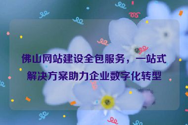 佛山網(wǎng)站建設全包服務，一站式解決方案助力企業(yè)數(shù)字化轉型