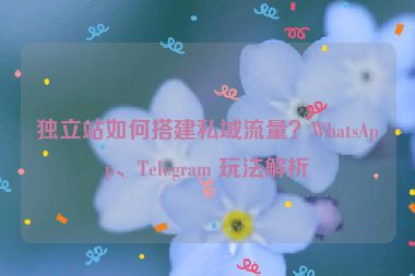 獨立站如何搭建私域流量？WhatsApp、Telegram 玩法解析