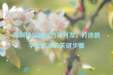 深圳網(wǎng)站建設(shè)方案開(kāi)發(fā)，打造數(shù)字化未來(lái)的關(guān)鍵步驟