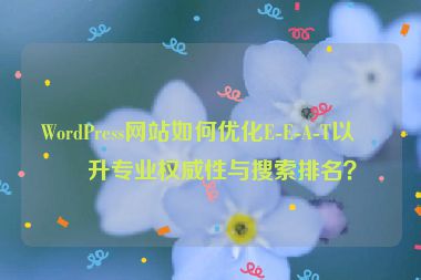WordPress網(wǎng)站如何優(yōu)化E-E-A-T以提升專業(yè)權(quán)威性與搜索排名？