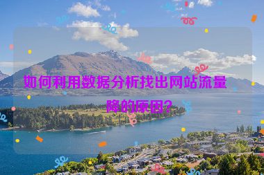 如何利用數(shù)據(jù)分析找出網(wǎng)站流量下降的原因？