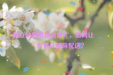 獨(dú)立站跨境物流推廣，如何讓用戶信任國(guó)際配送？
