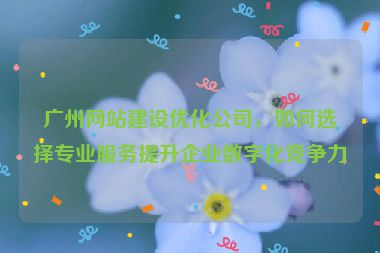廣州網(wǎng)站建設(shè)優(yōu)化公司，如何選擇專業(yè)服務(wù)提升企業(yè)數(shù)字化競爭力