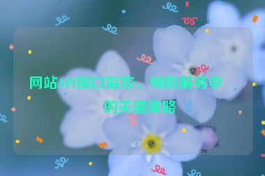 網(wǎng)站API接口監(jiān)控，預(yù)防服務(wù)中斷的關(guān)鍵策略