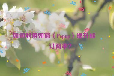 如何利用彈窗（Popup）提升郵件訂閱率？