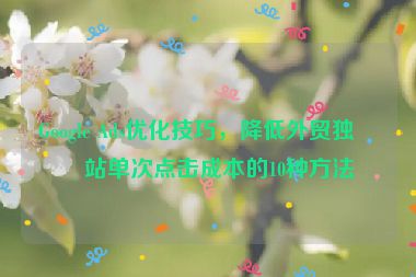 Google Ads優(yōu)化技巧，降低外貿(mào)獨(dú)立站單次點(diǎn)擊成本的10種方法