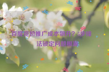 百度競價推廣成本飆升？5步排查法鎖定問題根源