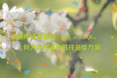 數據庫選擇指南，SQL vs NoSQL，如何為你的項目選擇最佳方案