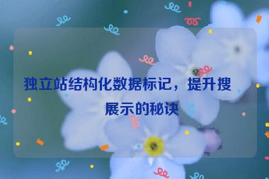 獨(dú)立站結(jié)構(gòu)化數(shù)據(jù)標(biāo)記，提升搜索展示的秘訣