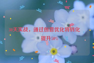 30天實(shí)戰(zhàn)，通過(guò)創(chuàng)意優(yōu)化將轉(zhuǎn)化率提升50%