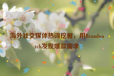 海外社交媒體熱詞挖掘，用Brandwatch發(fā)現(xiàn)爆款需求
