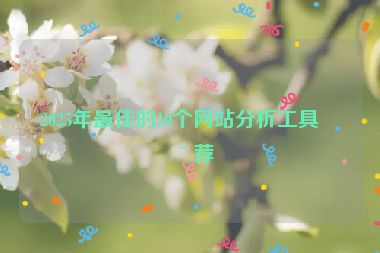 2025年最佳的10個網站分析工具推薦