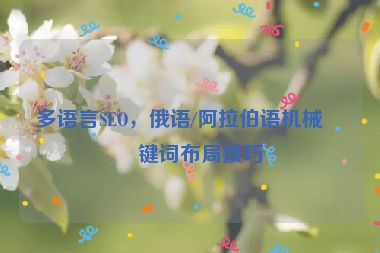 多語言SEO，俄語/阿拉伯語機械關(guān)鍵詞布局技巧