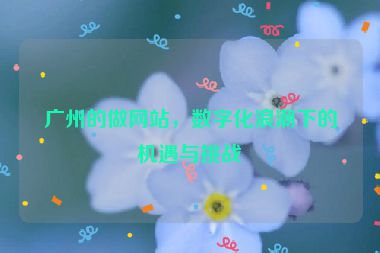 廣州的做網(wǎng)站，數(shù)字化浪潮下的機(jī)遇與挑戰(zhàn)