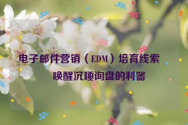 電子郵件營(yíng)銷(xiāo)（EDM）培育線索，喚醒沉睡詢盤(pán)的利器