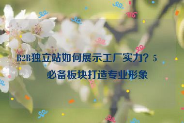 B2B獨(dú)立站如何展示工廠實(shí)力？5個(gè)必備板塊打造專(zhuān)業(yè)形象
