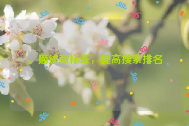 、描述和標(biāo)簽，提高搜索排名