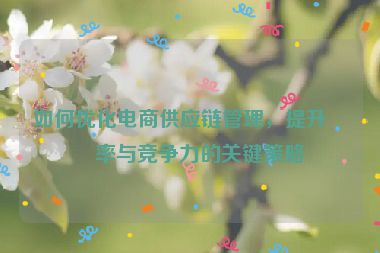 如何優(yōu)化電商供應(yīng)鏈管理，提升效率與競(jìng)爭(zhēng)力的關(guān)鍵策略