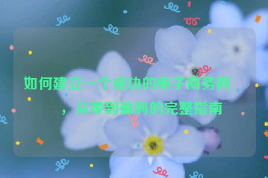 如何建立一個成功的電子商務(wù)網(wǎng)站，從零到盈利的完整指南