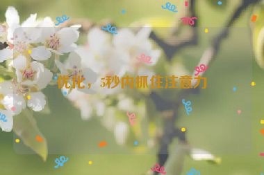 優(yōu)化，5秒內(nèi)抓住注意力