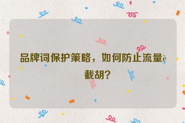 品牌詞保護(hù)策略，如何防止流量被截胡？
