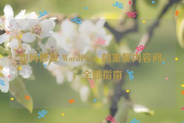 如何修復(fù) WordPress 的重復(fù)內(nèi)容問題，全面指南