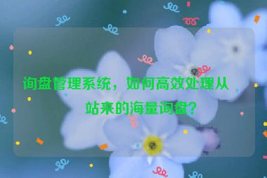 詢盤(pán)管理系統(tǒng)，如何高效處理從網(wǎng)站來(lái)的海量詢盤(pán)？