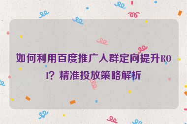如何利用百度推廣人群定向提升ROI？精準投放策略解析