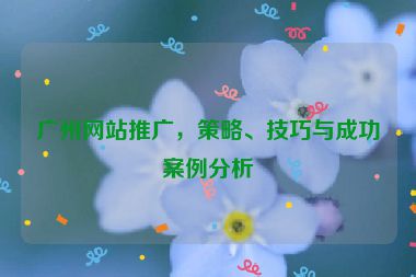 廣州網(wǎng)站推廣，策略、技巧與成功案例分析