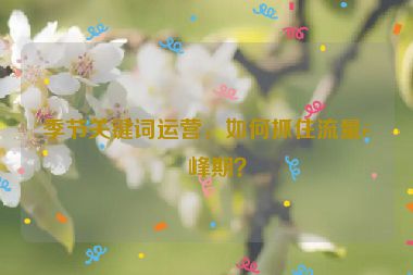 季節(jié)關(guān)鍵詞運(yùn)營(yíng)，如何抓住流量高峰期？