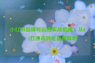 小紅書品牌號運(yùn)營實(shí)戰(zhàn)指南，從0到1打造高轉(zhuǎn)化品牌陣地