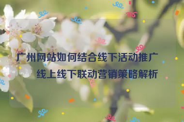 廣州網(wǎng)站如何結(jié)合線下活動(dòng)推廣？線上線下聯(lián)動(dòng)營(yíng)銷策略解析