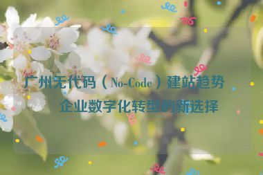 廣州無代碼（No-Code）建站趨勢，企業(yè)數(shù)字化轉型的新選擇