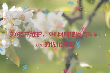 SEO技術(shù)維護，XML網(wǎng)站地圖與Robots.txt的優(yōu)化策略