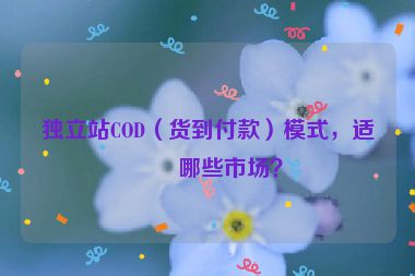 獨(dú)立站COD（貨到付款）模式，適合哪些市場？