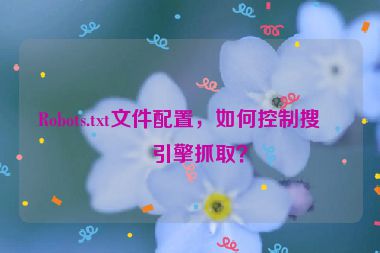Robots.txt文件配置，如何控制搜索引擎抓取？