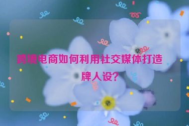 跨境電商如何利用社交媒體打造品牌人設(shè)？