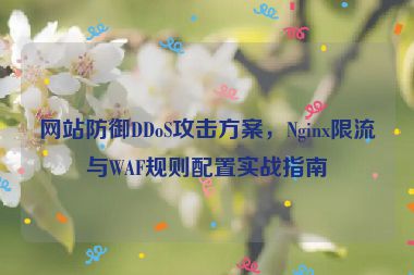網(wǎng)站防御DDoS攻擊方案，Nginx限流與WAF規(guī)則配置實(shí)戰(zhàn)指南