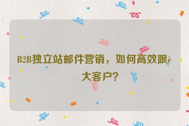 B2B獨(dú)立站郵件營(yíng)銷(xiāo)，如何高效跟進(jìn)大客戶？